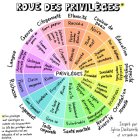 Roue_des_privilges_e_Camille_PerronCormier.jpg